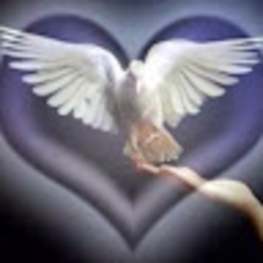 Meet your Posher, Marie